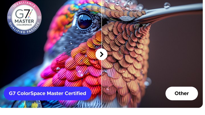 G7 ColorSpace Master Certified before and after comparison